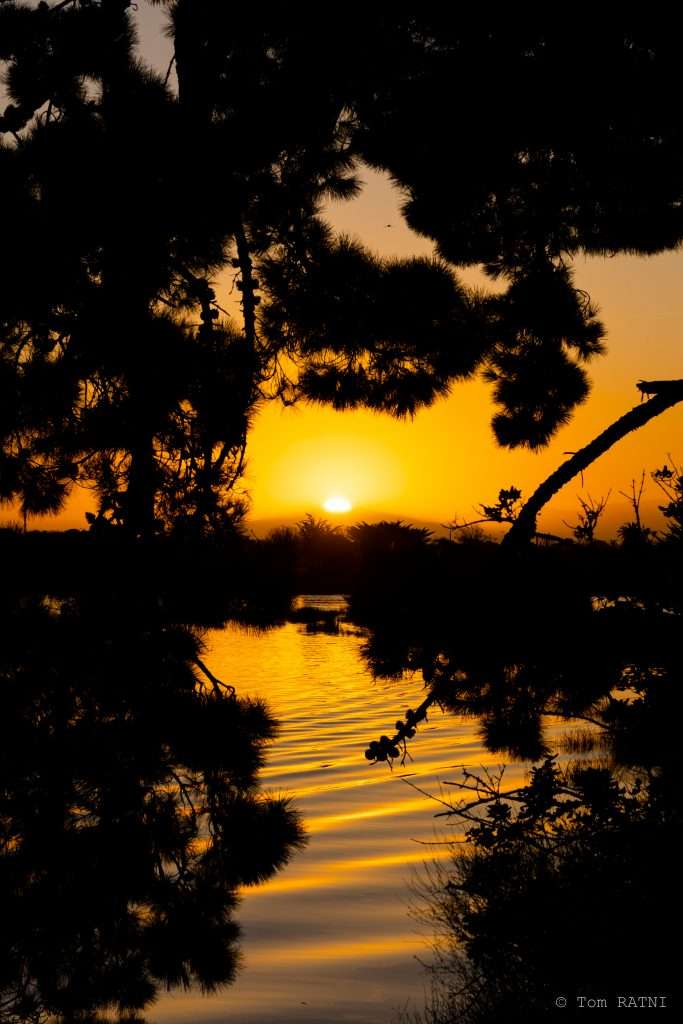 sunset on a lake