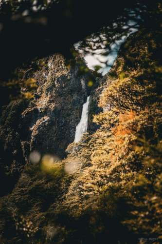 Waterfall through the trees